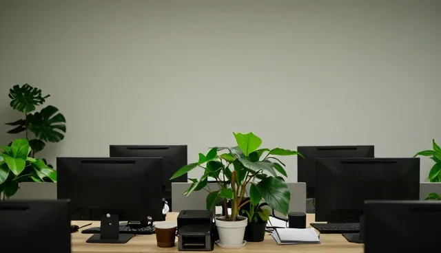 电商运营中提升转化率的两个关键环节